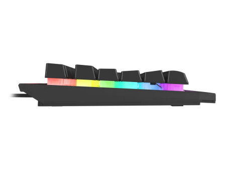 GENESIS Rhod 500 RGB teclado Juego USB QWERTY Portugués Negro, Plata